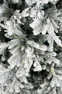 ALBER BERKSHIRE INN H240-6428R 2500L