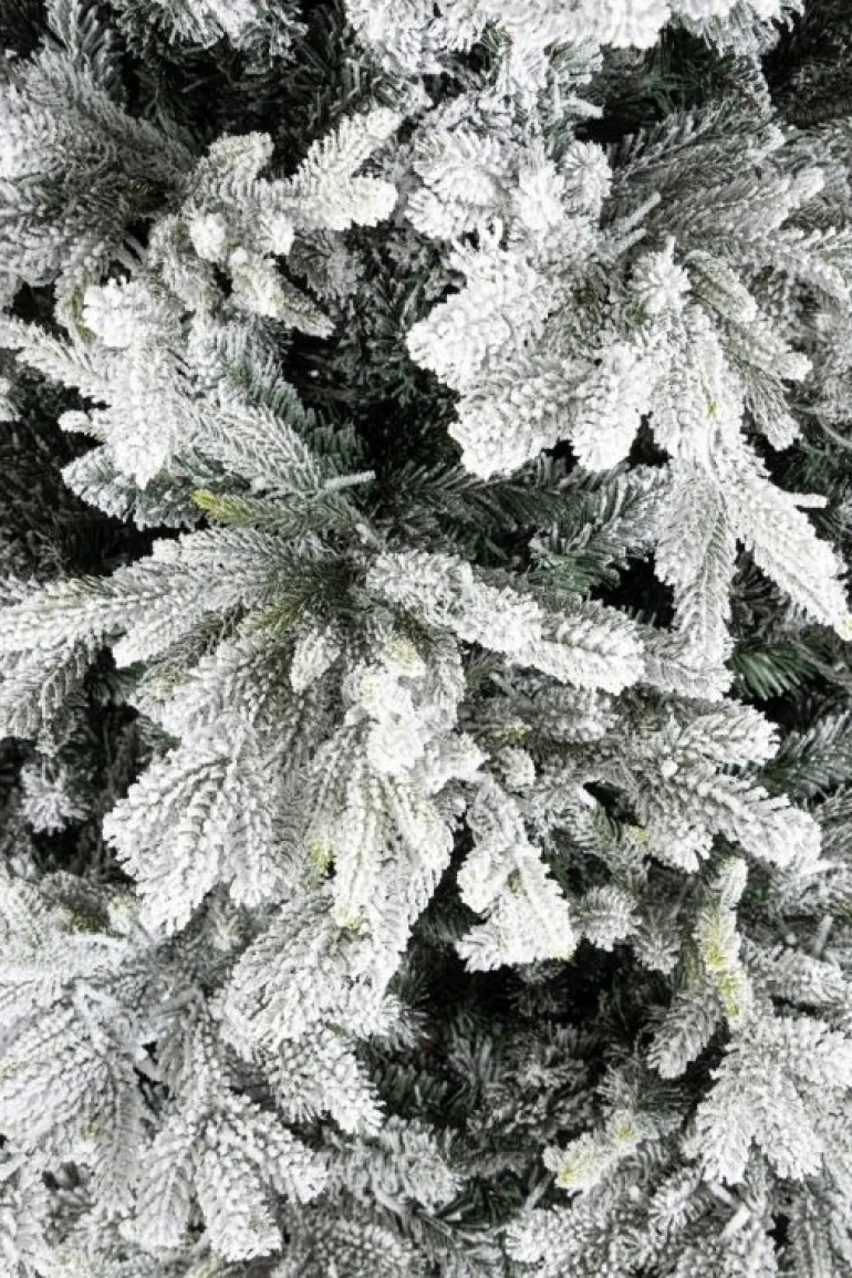 ALBER BERKSHIRE INN H240-6428R 2500L