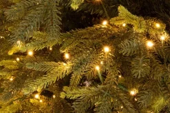 ALBERO BERKSHIRE H210-5436RAMI 1900LED