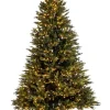 ALBERO BERKSHIRE H240-7456RAMI 2500LED