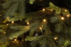 ALBERO BERKSHIRE H180-3744RAMI 1300LED