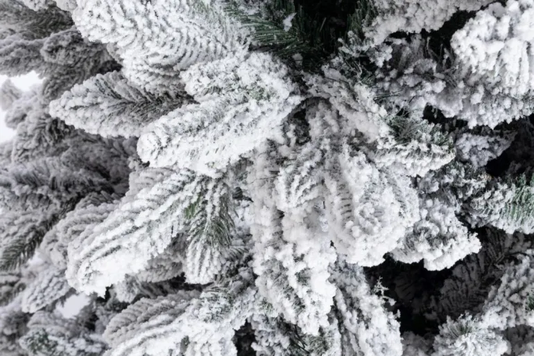 ALBERO FREJUS INNEVATO H180-1623RAMI