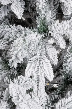 ALBERO HARVARD INNEVATO H210-1927RAMI