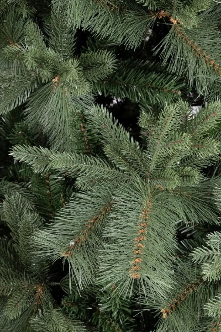 ALBERO HUBBARD H240-3096RAMI