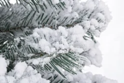 ALBERO INNSBRUCK INNEVATO H60