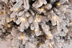 ALBERO MASSIVE INNEVATO H240-3973R 600L