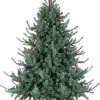 ALBERO SERRONE GLAUCO H210-1698RAMI