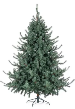 ALBERO SERRONE GLAUCO H240-2322RAMI
