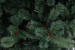 ALBERO SERRONE GLAUCO H240-2322RAMI