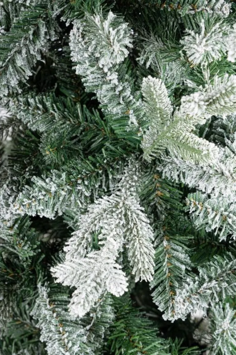 ALBERO SLIM COOPER INN H180-666RAMI