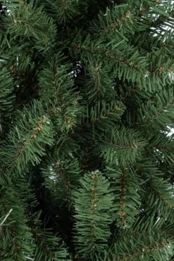 ALBERO SLIM KRONPLATZ H180-645RAMI