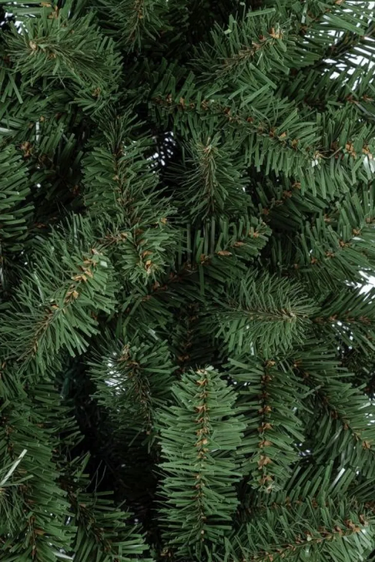 ALBERO SLIM KRONPLATZ H180-645RAMI