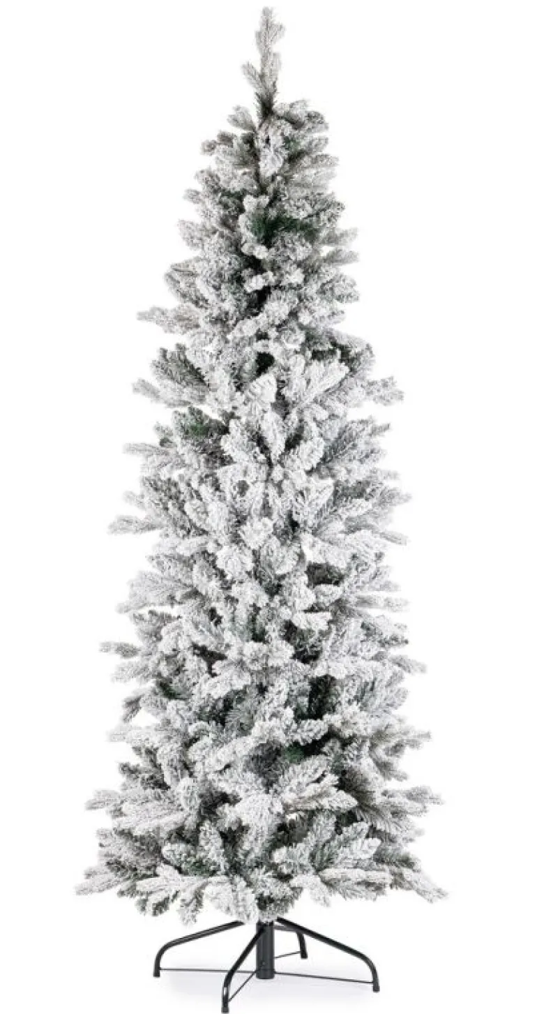 ALBERO SLIM TATLOW INN H210-1239RAMI