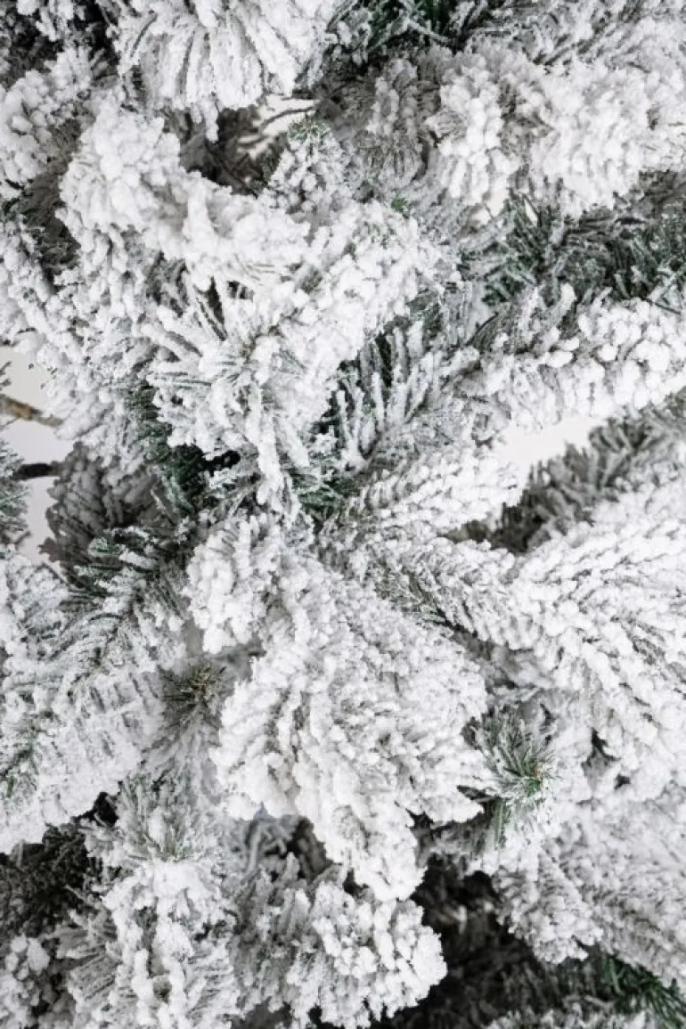 ALBERO SLIM TATLOW INN H210-1239RAMI