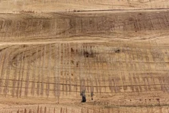 CREDENZA IN LEGNO S - ELMER