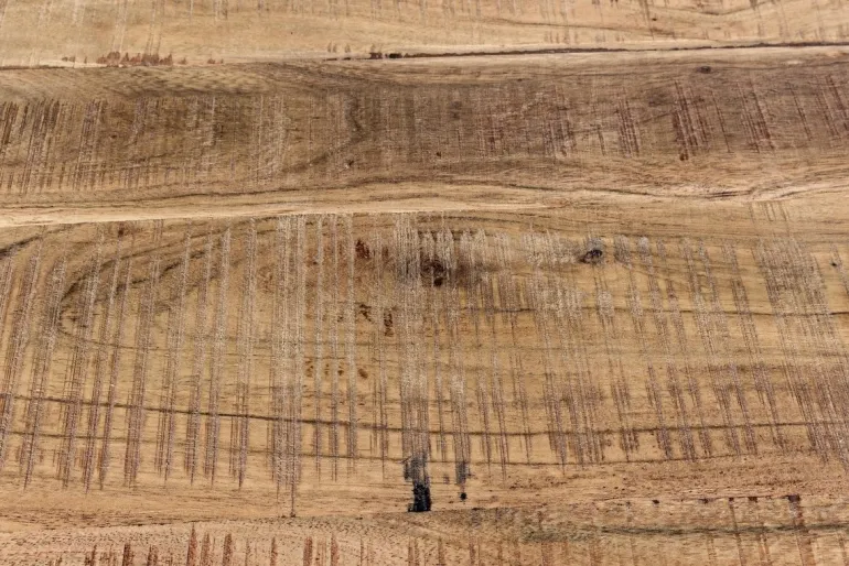 CREDENZA IN LEGNO S - ELMER