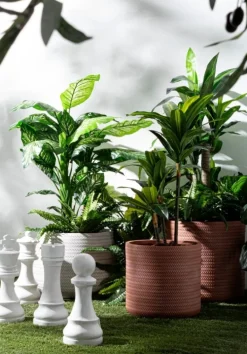 DECORAZIONE CHESS RE-REGINA BIANCO ASS2