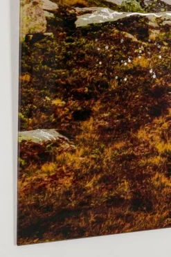 DIPINTO PLEXY 438 120X80