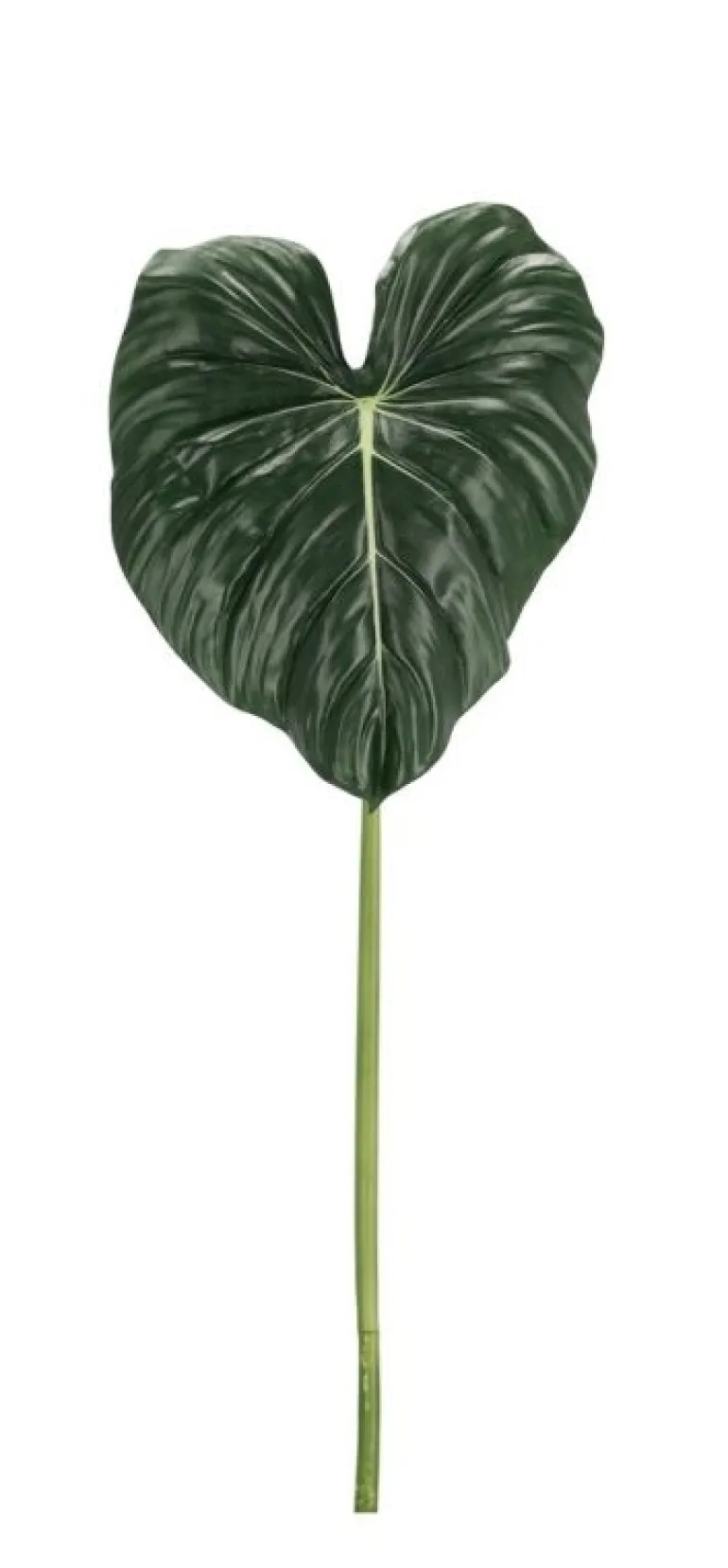 FOGLIA FILODENDRO YSABEL VERDE H87CM