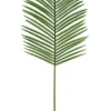 FOGLIA PALMA PHOENIX VERDE H150CM