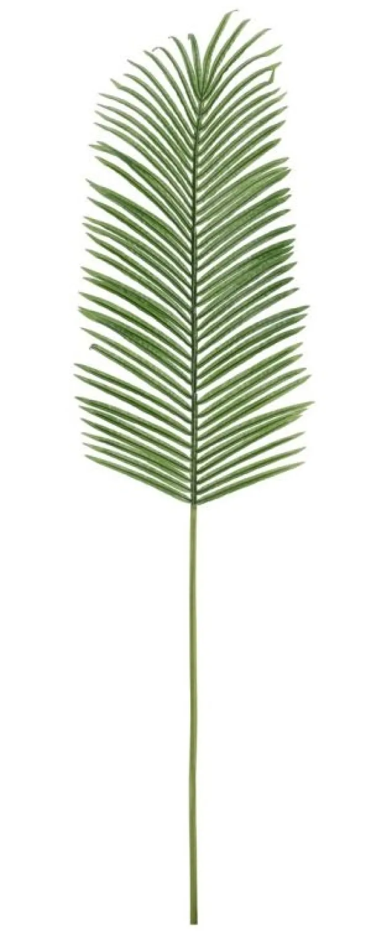 FOGLIA PALMA PHOENIX VERDE H150CM