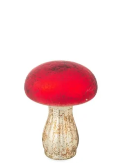 FUNGO VT JAKUB STAND ROSSO H17