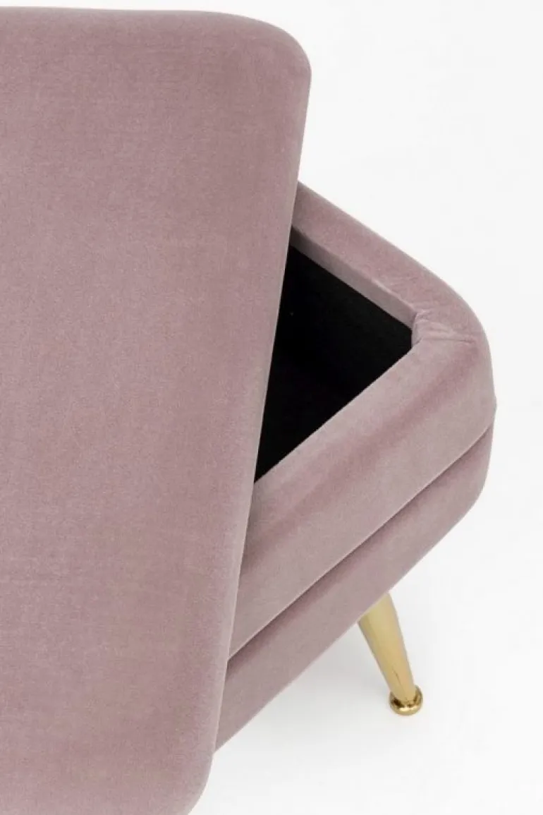 PANCA MALVA - PAVLINA