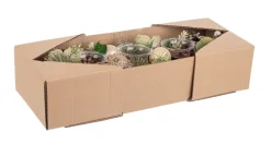 P.CANDELA 3P AILEEN RETT VERDE-NATURALE