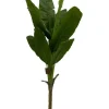 PIANTA BANANO C-VASO H210