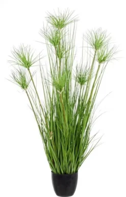 PIANTA DESERTO VERDE C-VASO X9F H120