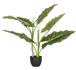 PIANTA DIEFFENBACHIA C-VASO 7FOGLIE H78