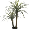PIANTA DRACAENA C-VASO H110