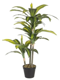 PIANTA DRACANEA C-VASO 43FOGLIE H88CM
