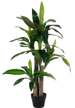 PIANTA DRACANEA C-VASO 65FOGLIE H110