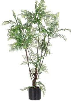 PIANTA FELCE C-VASO 75FOGLIE H108