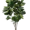PIANTA FICUS LYRATA C-VAS 123FOGLIE H230