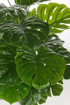 PIANTA FILODENDRO C-VASO 23FOGLIE H120CM