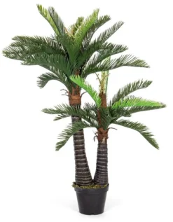 PIANTA PALMA C-VASO 36FOGLIE 2TR H150