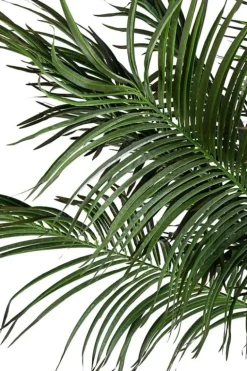 PIANTA PALMA C-VASO 18FOGLIE H210