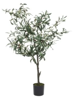 PIANTA ULIVO C-VASO 492FOGLIE H120