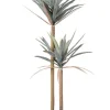 PIANTA YUCCA C-VASO 68FOGLIE H128