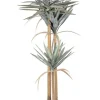 PIANTA YUCCA C-VASO 120FOGLIE H152