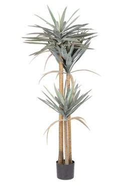 PIANTA YUCCA C-VASO 120FOGLIE H152