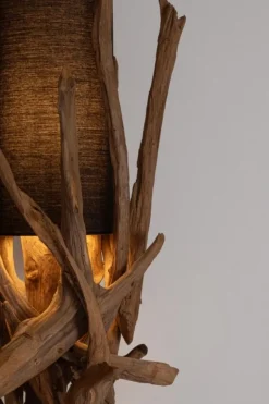 PIANTANA ACE NERO H180