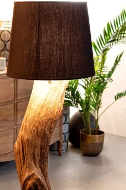 PIANTANA KLETA NERO H120