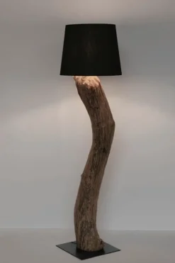 PIANTANA KLETA NERO H120