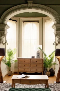 PIANTANA KLETA NERO H120