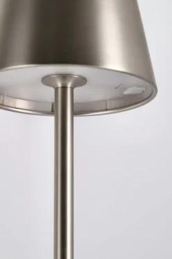 PIANTANA LED ETNA ARGENTO H115