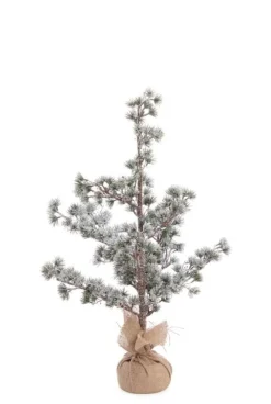 PINO SNEFFELS GHIACCIATO H75