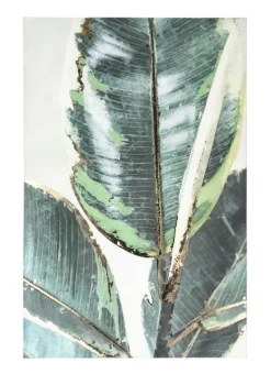 QUADRO BOLD F69 80X120